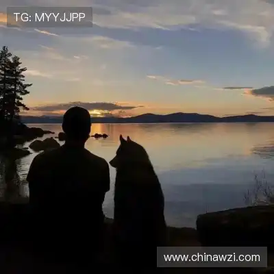 沈良彬